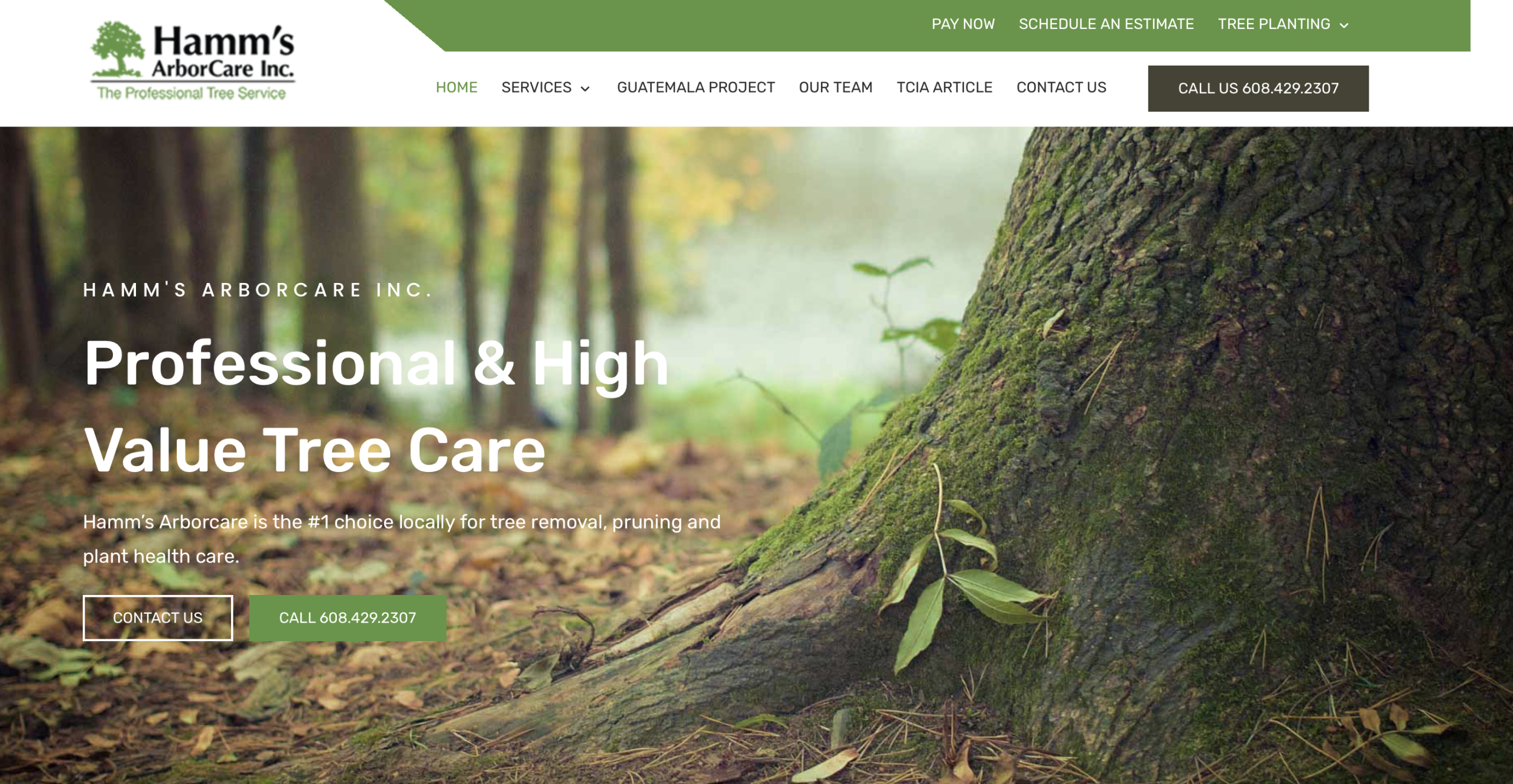 Screenshot 2026-01-17 at 5.21.21 PM